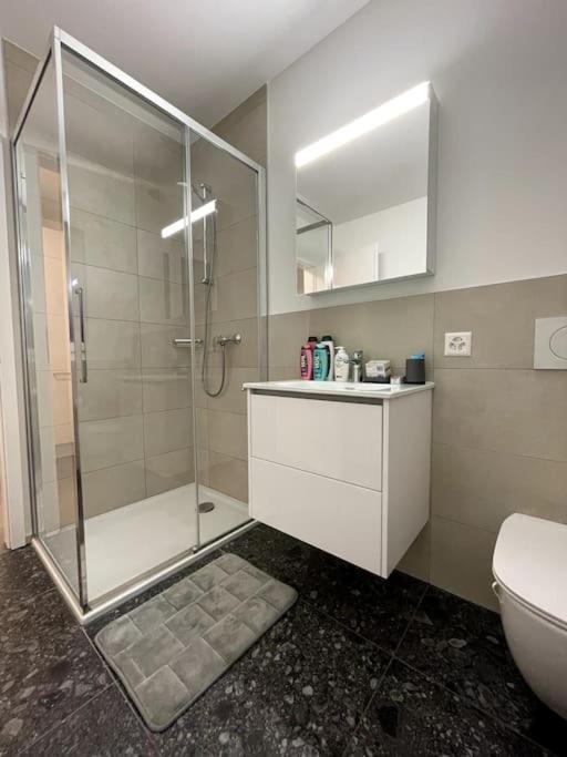 Five Stars Comfort Apartment Lugano Near The Lake Bagian luar foto