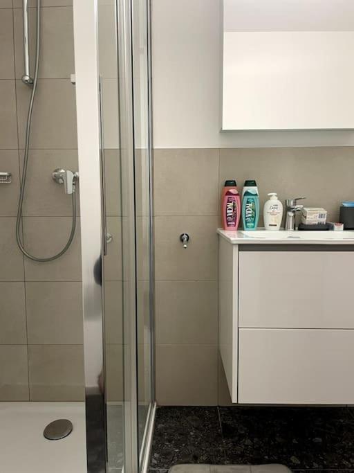 Five Stars Comfort Apartment Lugano Near The Lake Bagian luar foto